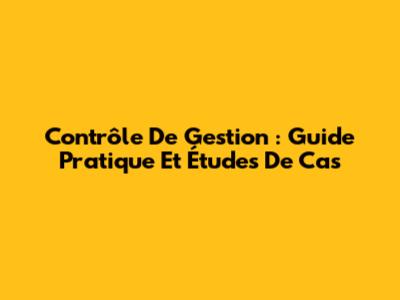 Contrôle De Gestion : Guide Pratique Et Études De Cas