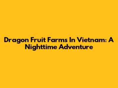 Dragon Fruit Farms In Vietnam: A Nighttime Adventure