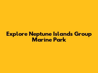 Explore Neptune Islands Group Marine Park