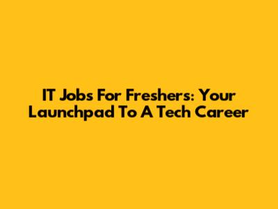 IT Jobs For Freshers: Your Launchpad To A Tech Career