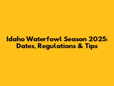 Idaho Waterfowl Season 2025: Dates, Regulations & Tips