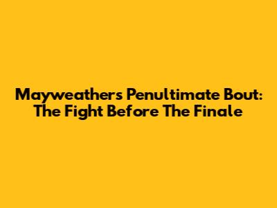 Mayweather's Penultimate Bout: The Fight Before The Finale