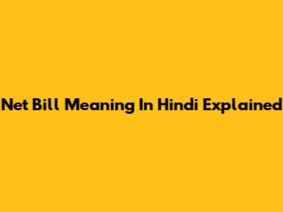 Net Bill Meaning In Hindi Explained