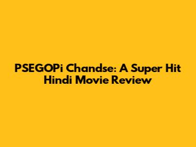 PSEGOPi Chandse: A Super Hit Hindi Movie Review