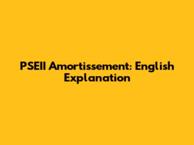PSEII Amortissement: English Explanation