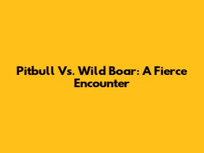 Pitbull Vs. Wild Boar: A Fierce Encounter