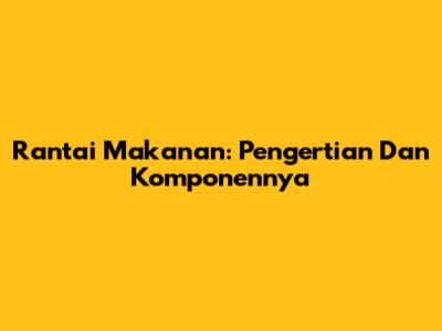 Rantai Makanan: Pengertian Dan Komponennya
