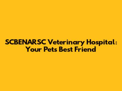 SCBENARSC Veterinary Hospital: Your Pet's Best Friend