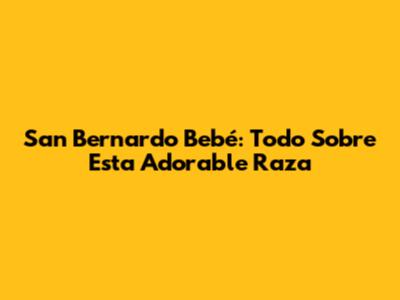 San Bernardo Bebé: Todo Sobre Esta Adorable Raza
