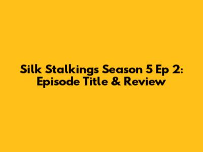 Silk Stalkings Season 5 Ep 2: Episode Title & Review