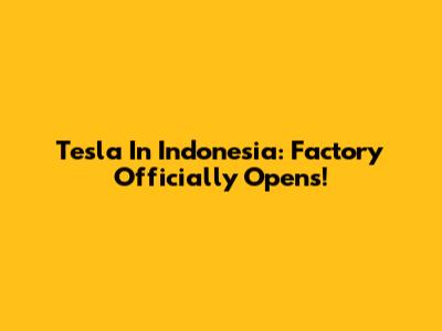 Tesla In Indonesia: Factory Officially Opens!